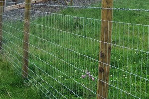 Poultry Fencing